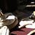 Sandy Wenko's profile image