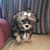 Joanne Schildt's profile image