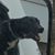 Adrienne Hudson Willett's profile image