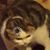 Zack Black's profile image