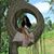 Raven Anderson's profile image