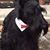 Pamela Singleton's profile image