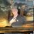 Edward Collier's profile image