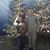 Michele Walker's profile image