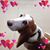 Joann Graffious's profile image