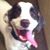 Amy Mace's profile image