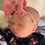 Amy Powell Judd's profile image