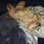 Deb Keech's profile image