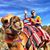 Barry C. Lawrence's profile image