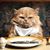 Yehuda Ben-Moyshe's profile image