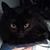 Anna Marie Schafer's profile image