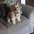 Doreen Lyons-Kidd's profile image