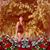 Lety Garza's profile image