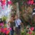 Andrea Cardenas Casas's profile image