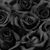 Tony Taylor's profile image