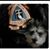 Melford N Hanks Sr's profile image