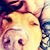 Allison Rondeau's profile image