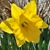 Megan Mallowe Lamb's profile image
