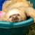 Wendi Ovard Schlarb's profile image