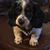 GaryDebbie Bennett's profile image