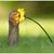Ginia Ann's profile image