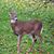 Wayne Kinville Jr.'s profile image
