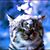Carol Mai's profile image