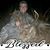 Dee Denton's profile image