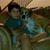 Brandon Rojas's profile image