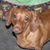 Robin Catlett Lilly's profile image