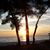 Sandra Kelley Smith's profile image