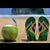 Faltracco Michele's profile image