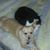 Sue Beal's profile image