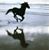 Evy Moneer's profile image