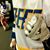 Steven Shears's profile image