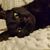 Margaret Mattson's profile image