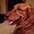 Barb Vallieu's profile image