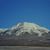 Marsha Wilson's profile image