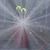 Mohamed Niyaz's profile image