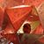 Daniel Kolecki's profile image