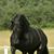 Callae Hyde's profile image