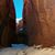 Horst Borst's profile image