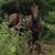 Karin Schroh-Bulle's profile image