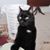 Carol Bowman's profile image