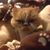 M de la T's profile image