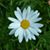 Pennie Robinson's profile image