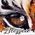 Beth A. Fralix's profile image