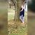 Reighann Marckel's profile image
