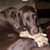 Kimberly Smith's profile image