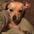 Dani Boldt Hapke's profile image